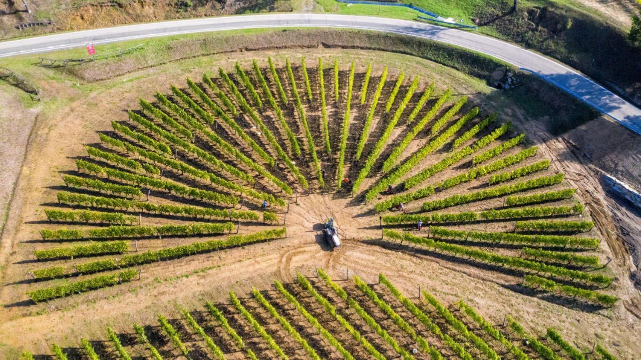 Agroturismo Cascina Bine